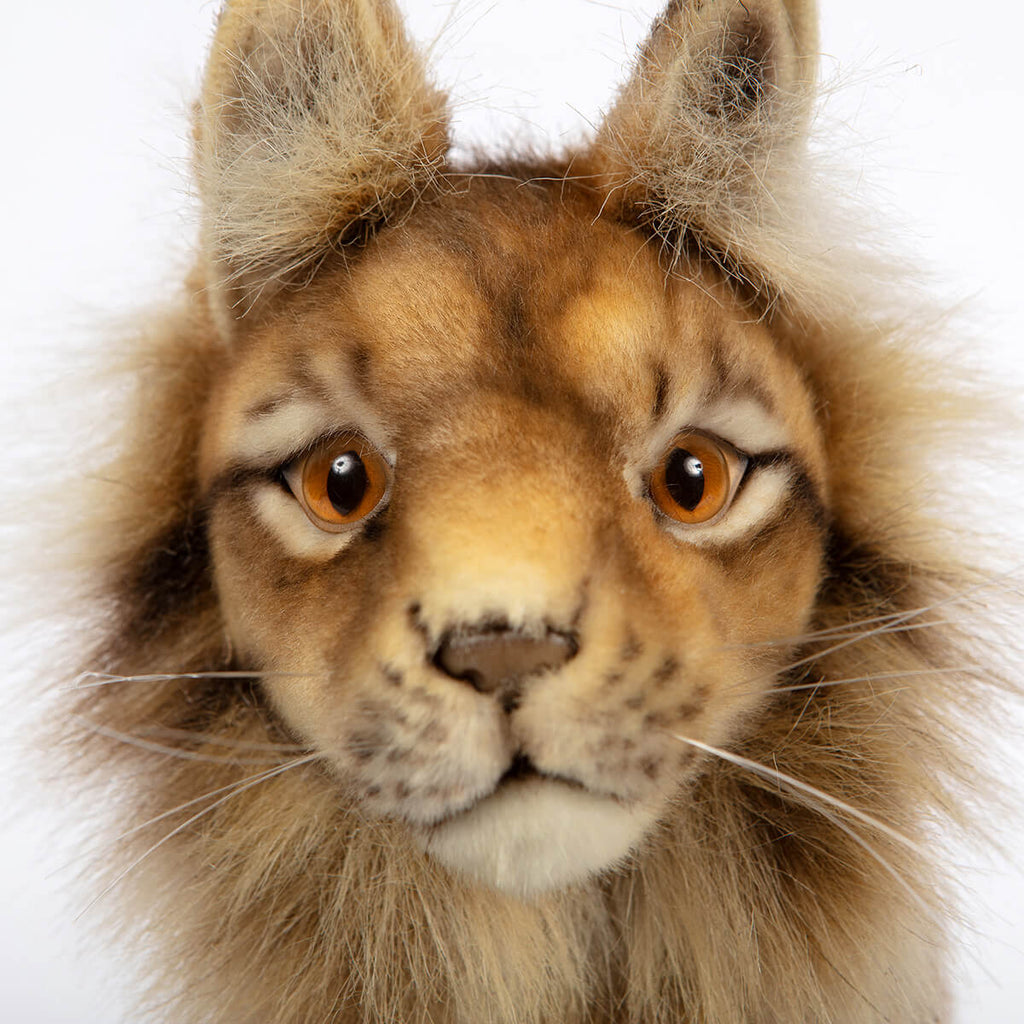 Standing Euresian Lynx by Hansa