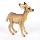 Standing Fawn by Hansa