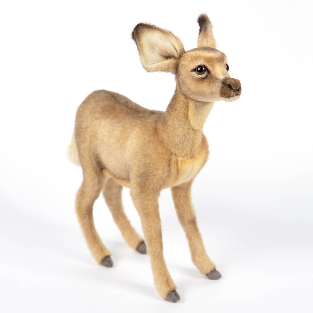 Standing Fawn by Hansa