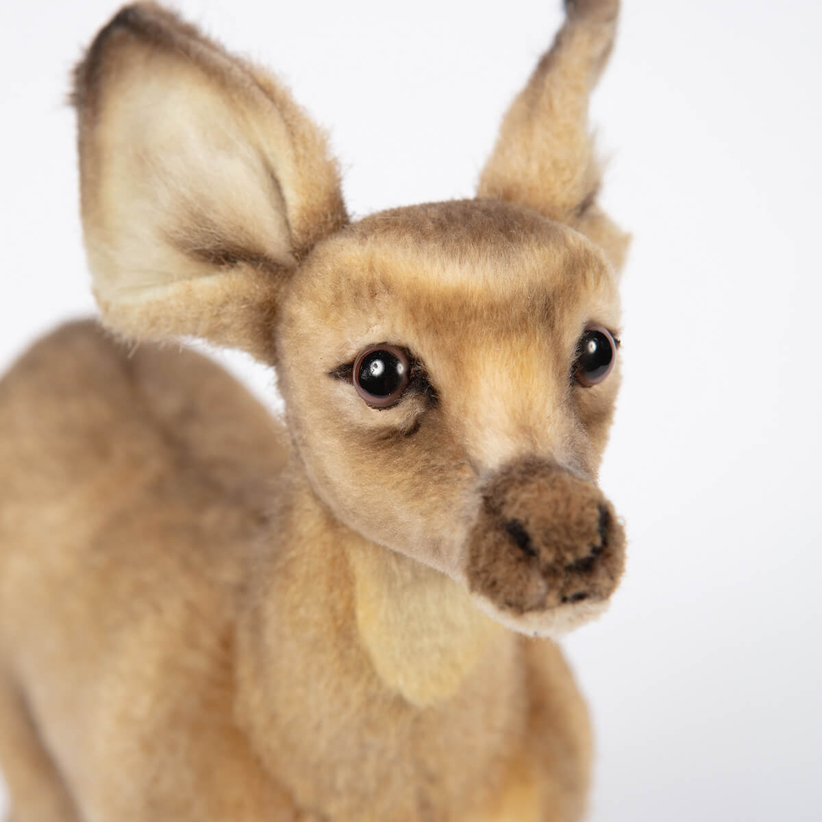 Standing Fawn by Hansa