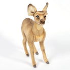 Standing Fawn by Hansa