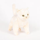 Standing Kitten by Hansa