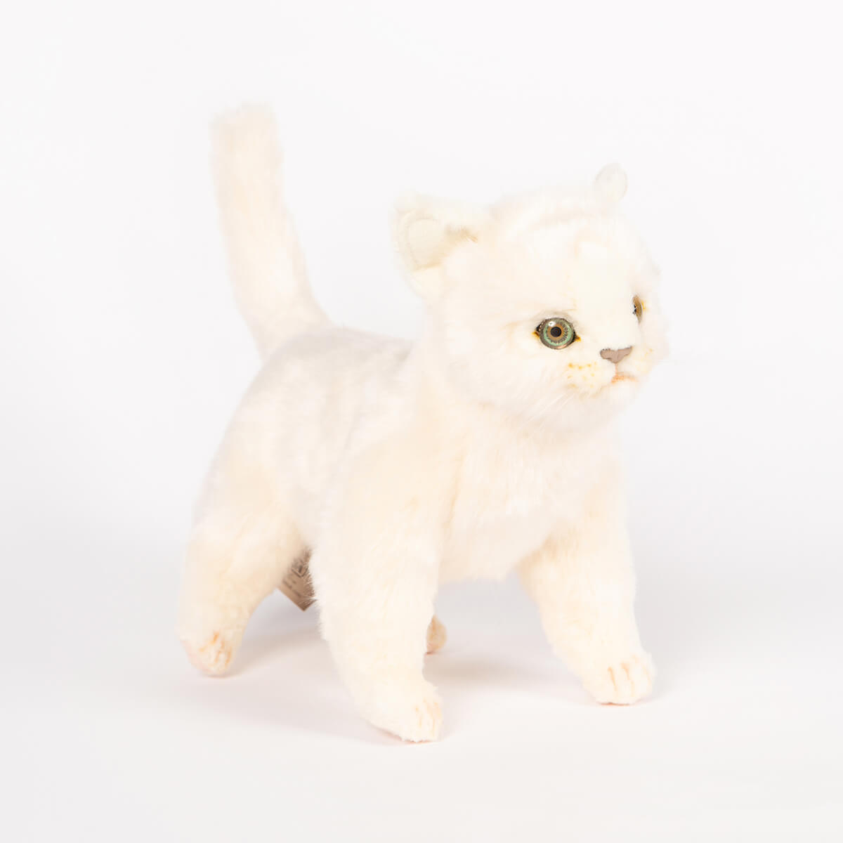 Standing Kitten by Hansa