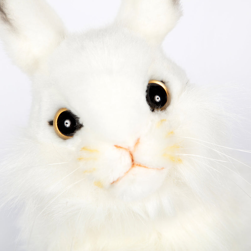 White Rabbit by Hansa