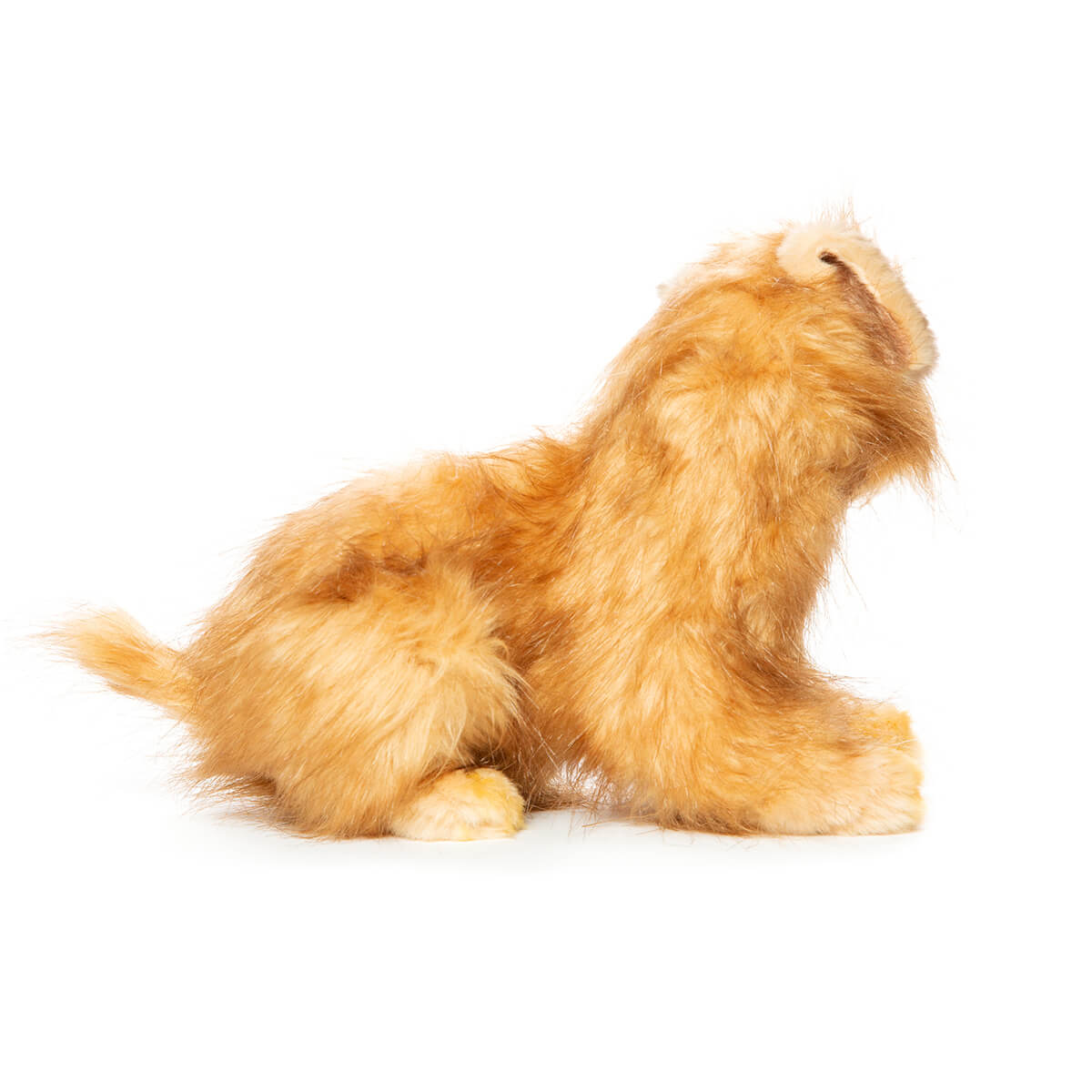 Norfolk Terrier (32cm) by Hansa