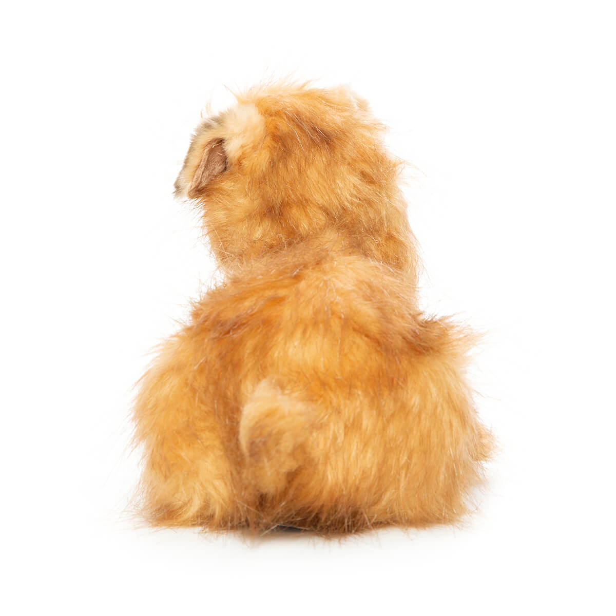 Norfolk Terrier (32cm) by Hansa