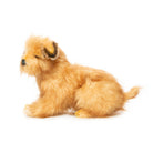 Norfolk Terrier (32cm) by Hansa