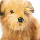 Norfolk Terrier (32cm) by Hansa