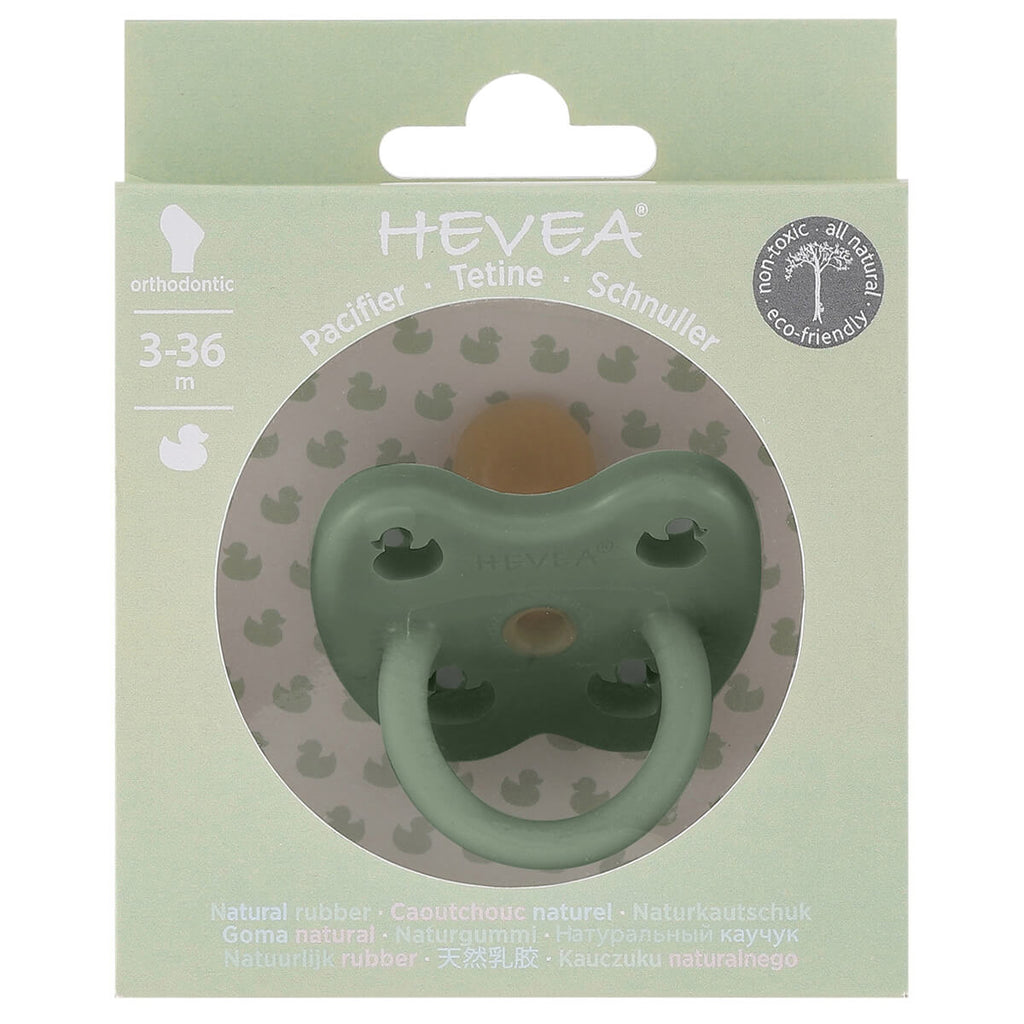 Orthodontic Natural Coloured Rubber Pacifier in Moss Green by Hevea