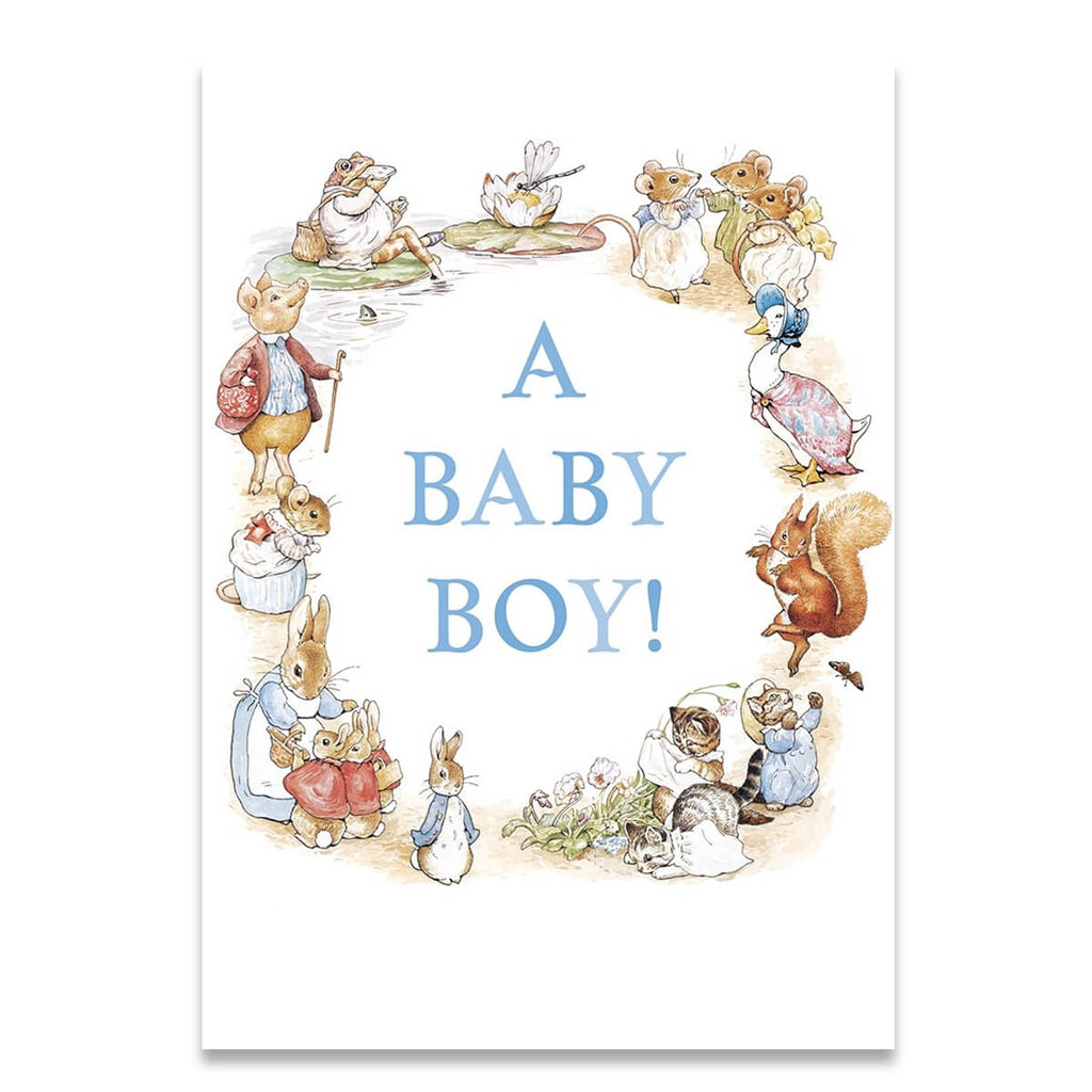 A Baby Boy Greetings Card by Beatrix Potter for Hype Card
