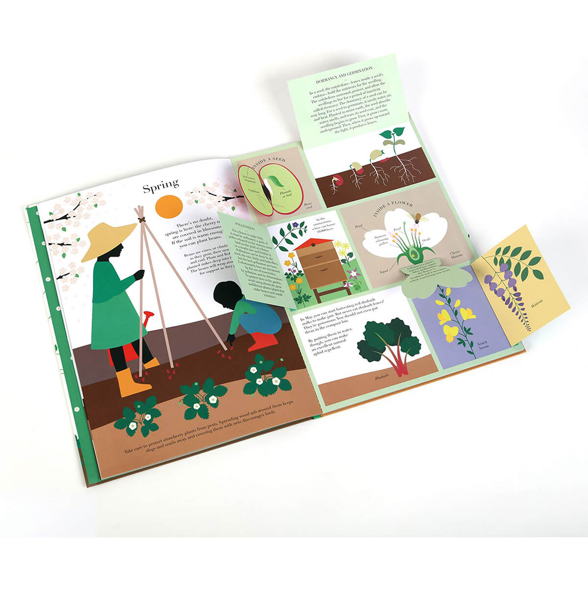 In the Garden by Emma Guiliani