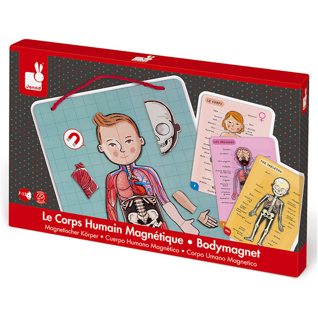 Bodymagnet Magnetic Educational Game (12 Languages) by Janod