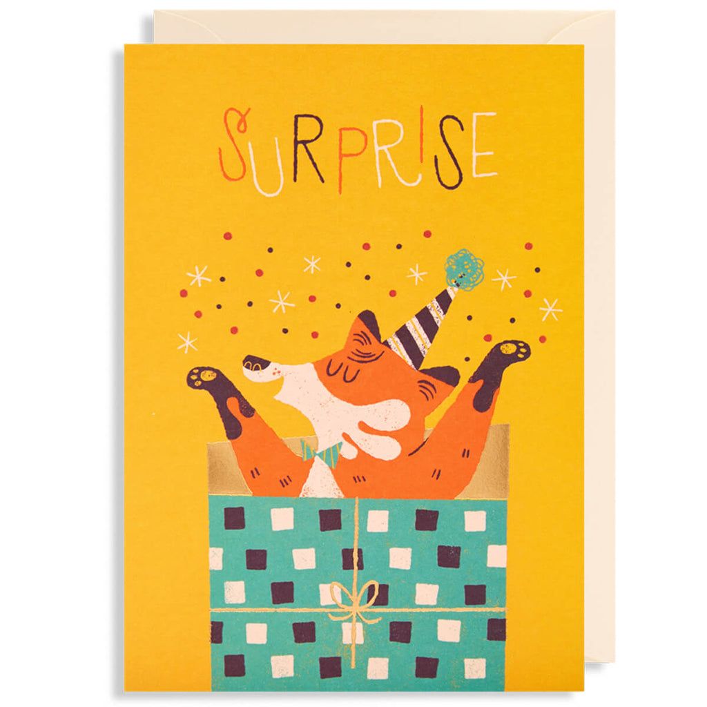Surprise Greetings Card by Lydia Nichols for Lagom Design