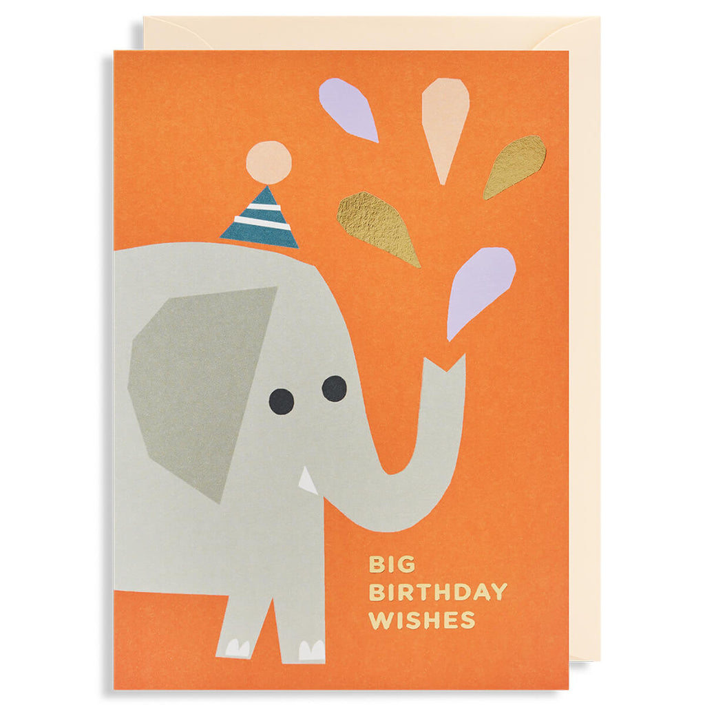Big Birthday Wishes Greetings Card by Ekaterina Trukan for Lagom Design