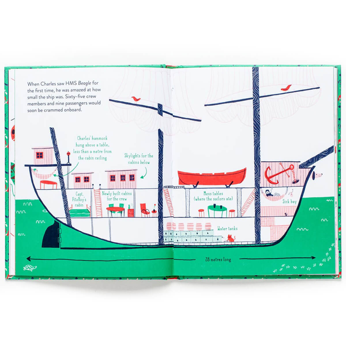 Little Guides To Great Lives: Charles Darwin by Isabel Thomas & Rachel Katstaller