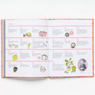 Little Guides To Great Lives: Marie Curie by Isabel Thomas & Anke Weckmann