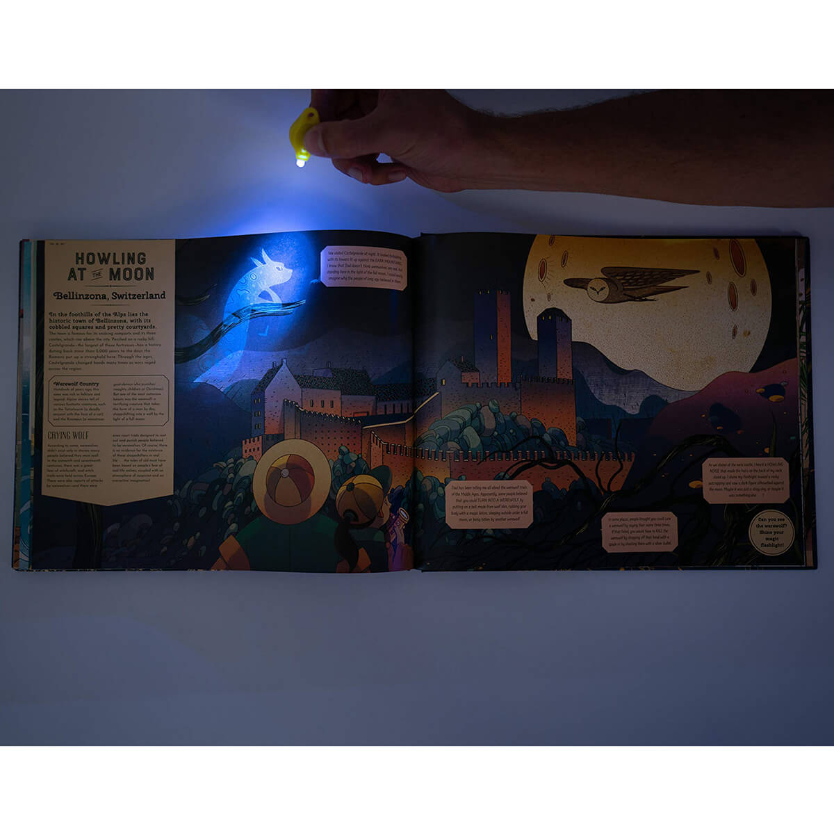 Magical Creatures and Mythical Beasts (With Magic Torch) by Professor and Millie Mortimer & Victo Ngai