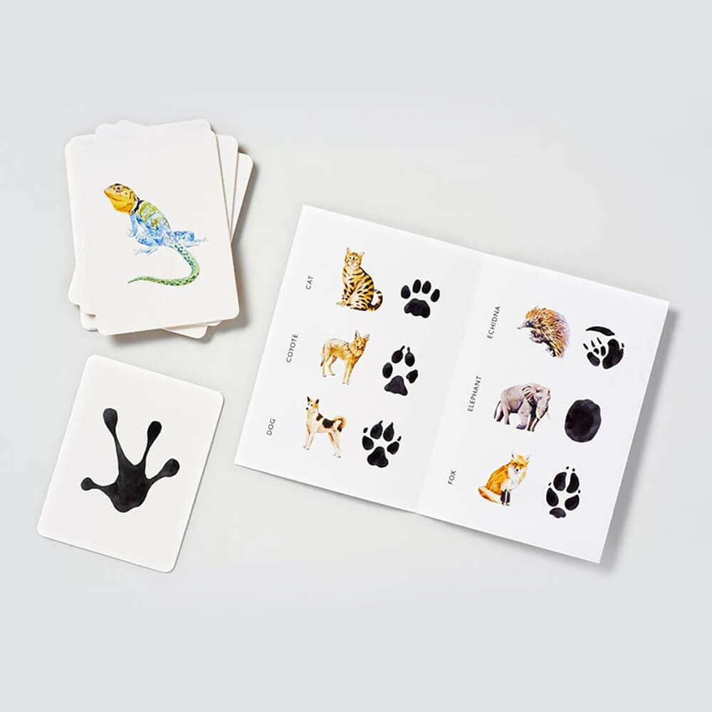 Match a Track: The Animal Memory Game by Laurence King Publishing