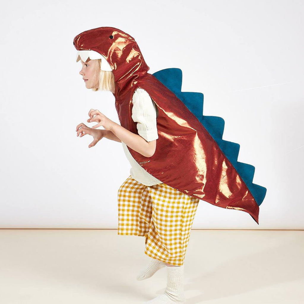 Dinosaur Dress Up Kit by Meri Meri