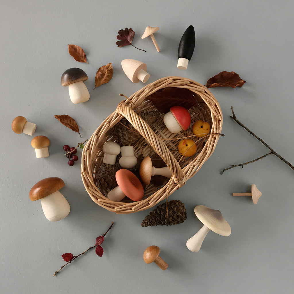 Forest Mushrooms Basket by Moon Picnic