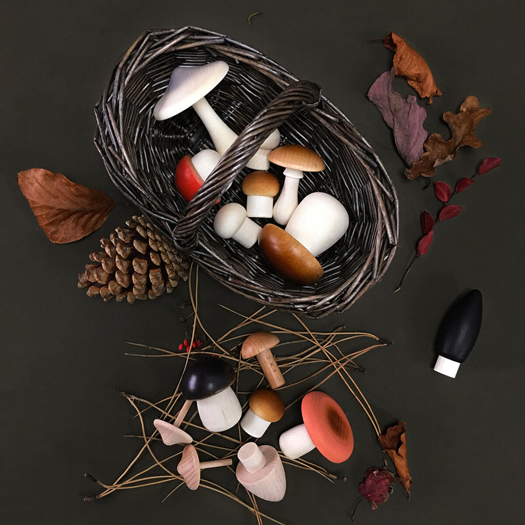Forest Mushrooms Basket by Moon Picnic