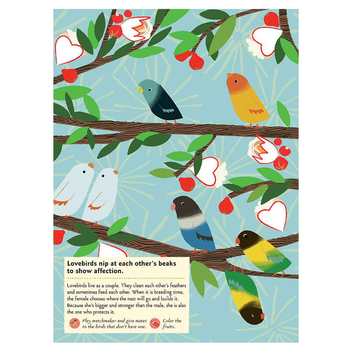 My Nature Sticker Activity Book: Birds of the World by Olivia Cosneau
