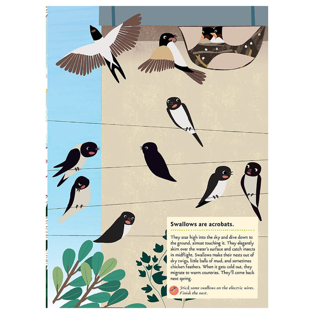 My Nature Sticker Activity Book: Birds of the World by Olivia Cosneau