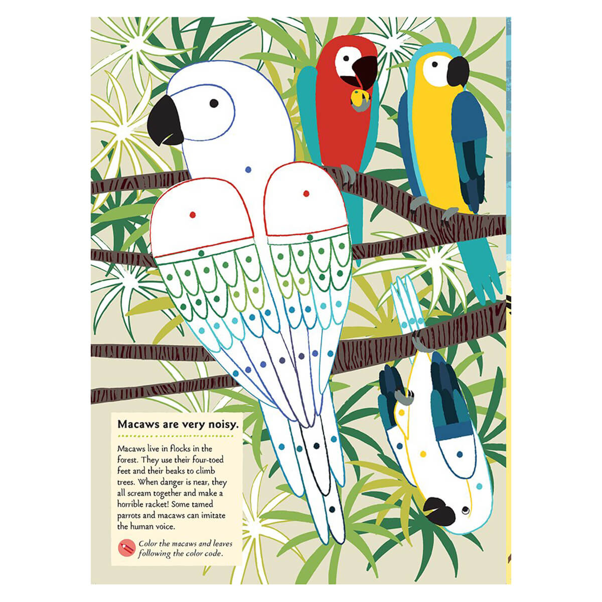 My Nature Sticker Activity Book: Birds of the World by Olivia Cosneau