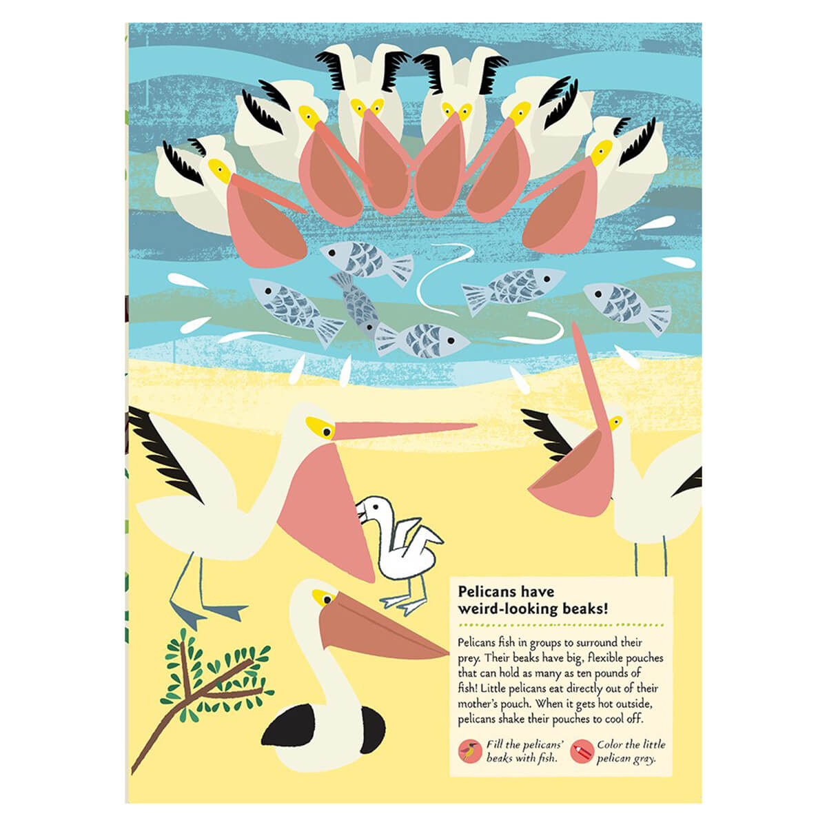 My Nature Sticker Activity Book: Birds of the World by Olivia Cosneau