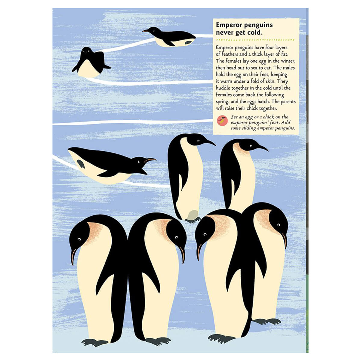 My Nature Sticker Activity Book: Birds of the World by Olivia Cosneau