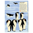 My Nature Sticker Activity Book: Birds of the World by Olivia Cosneau