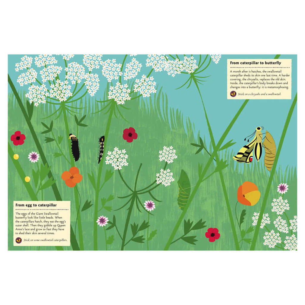 My Nature Sticker Activity Book: Butterflies of the World by Olivia Cosneau