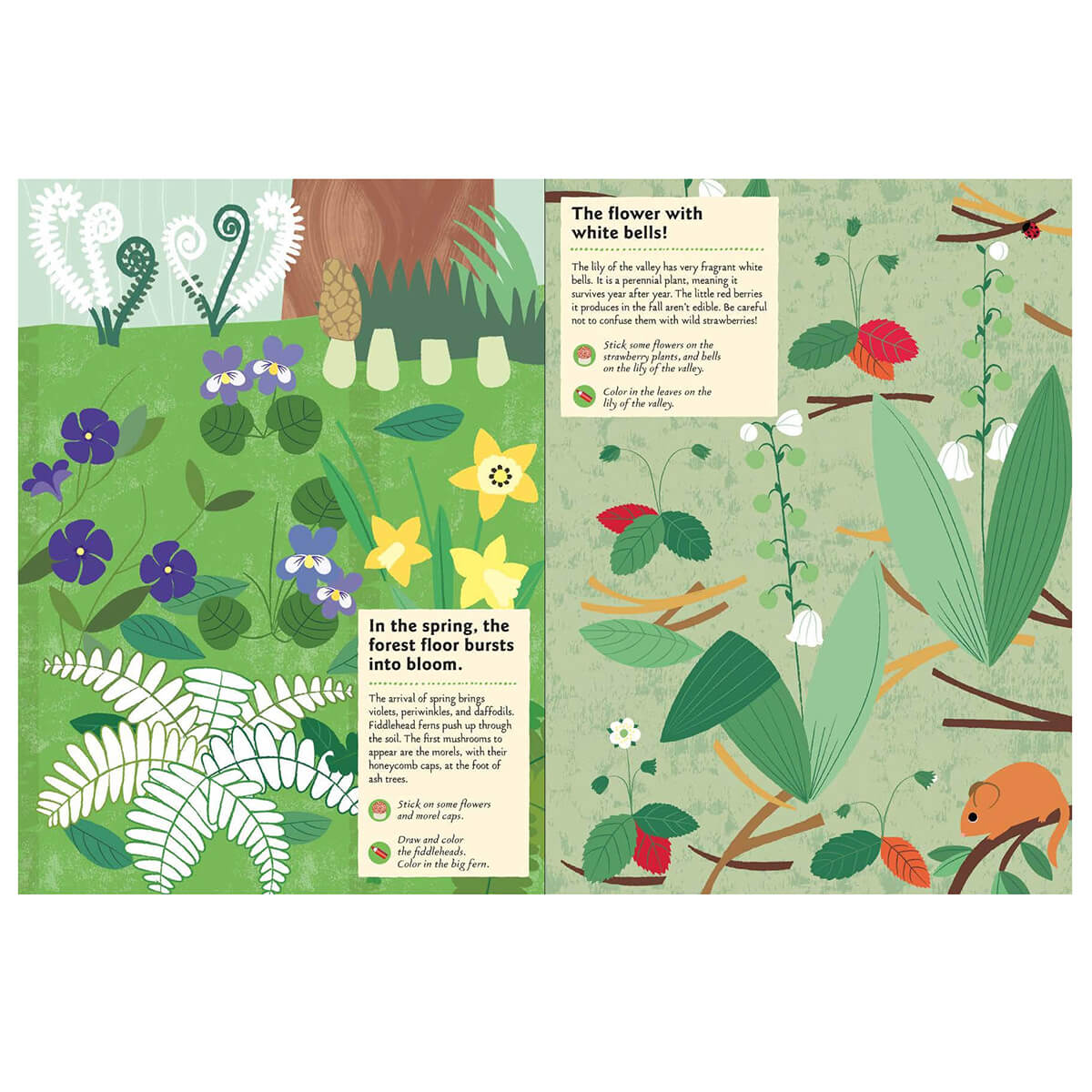 My Nature Sticker Activity Book: In The Forest by Olivia Cosneau