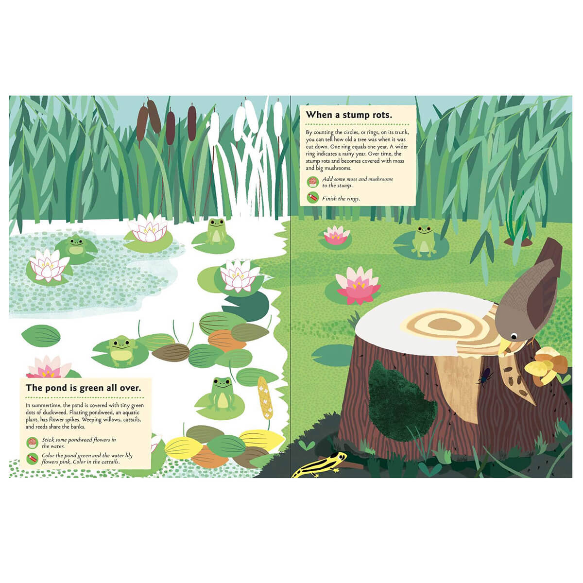 My Nature Sticker Activity Book: In The Forest by Olivia Cosneau