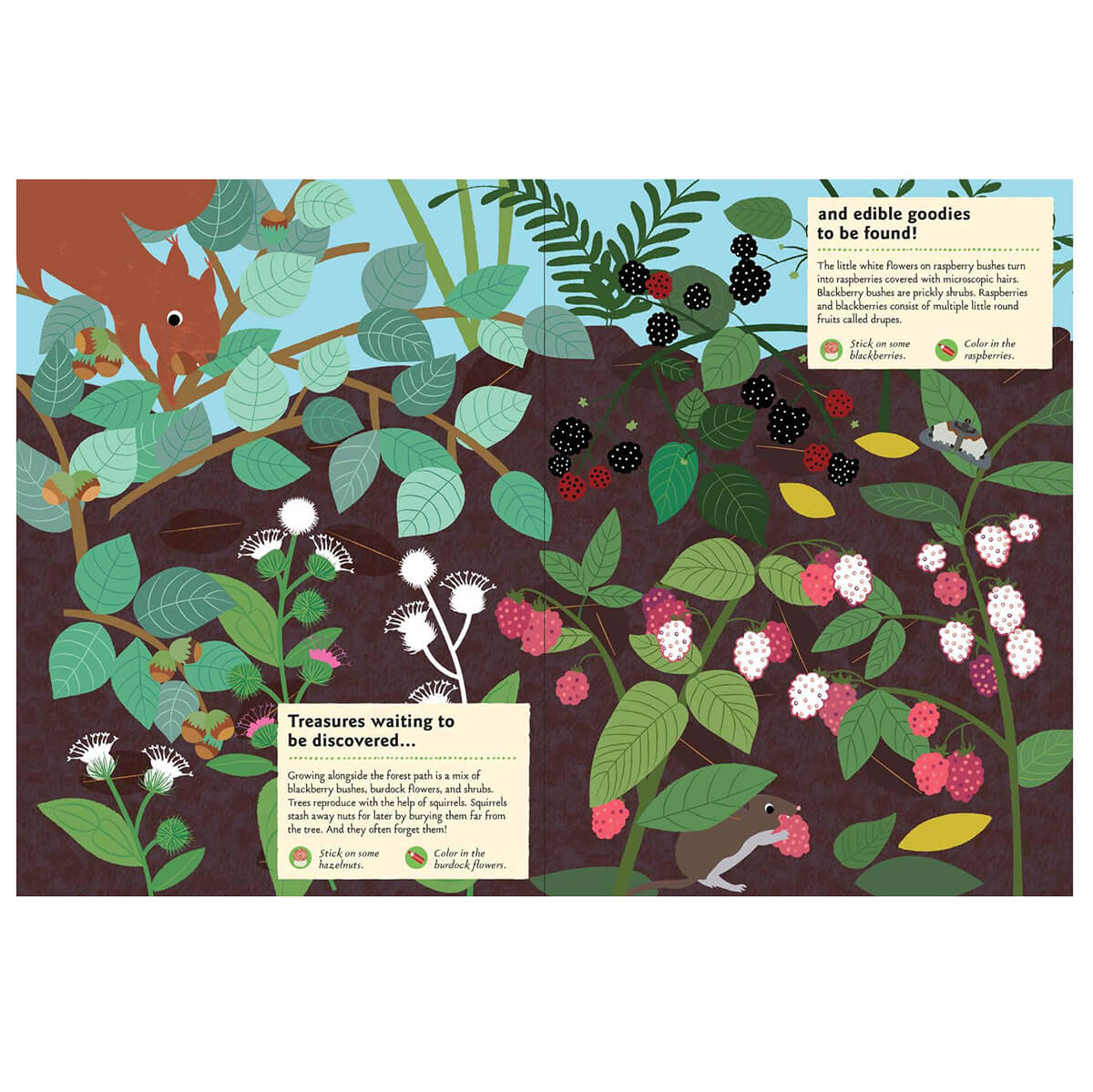 My Nature Sticker Activity Book: In The Forest by Olivia Cosneau