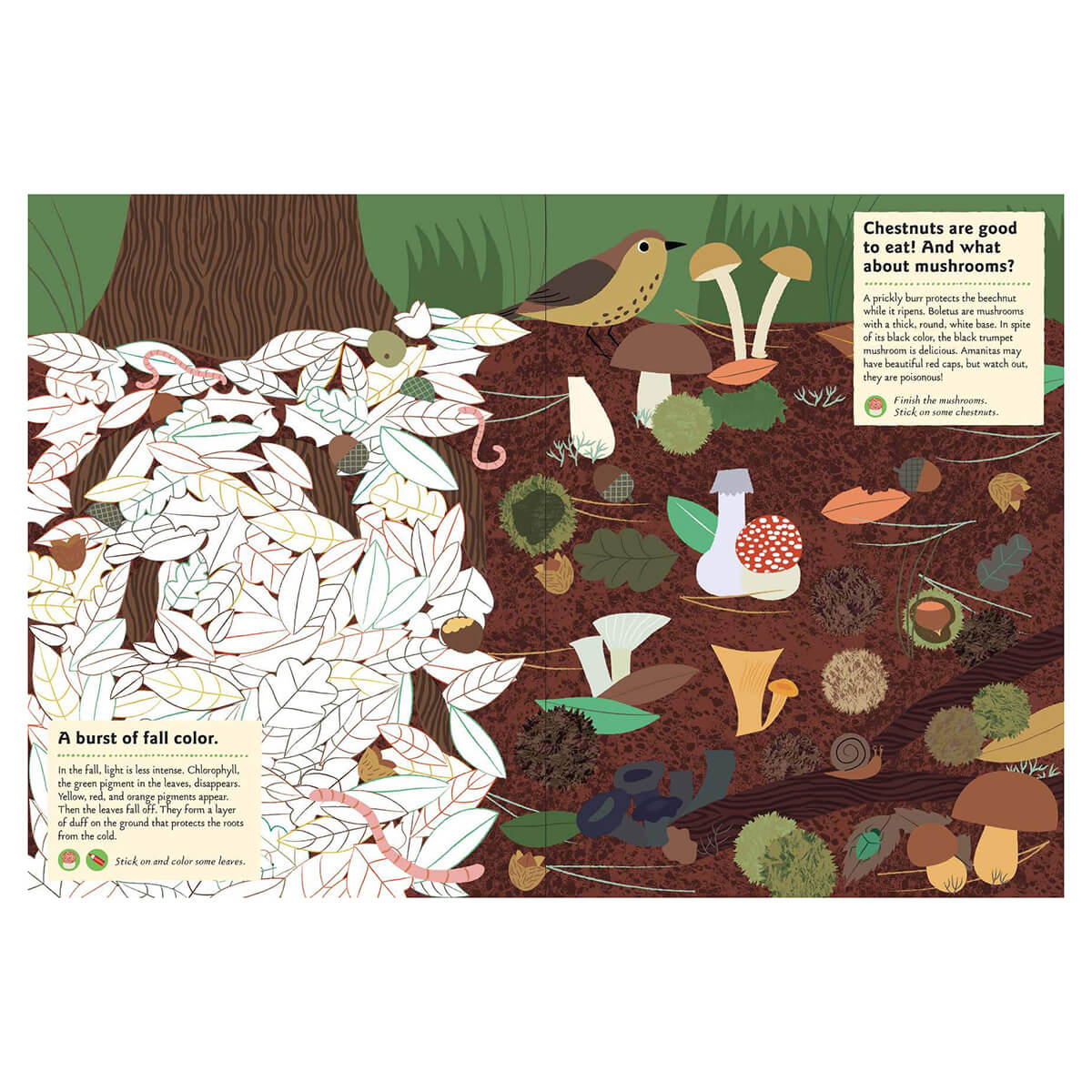 My Nature Sticker Activity Book: In The Forest by Olivia Cosneau