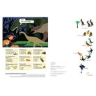 My Nature Sticker Activity Book: In the Age of Dinosaurs by Olivia Cosneau