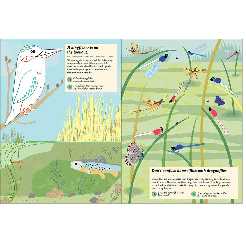 My Nature Sticker Activity Book: Streams and Ponds by Olivia Cosneau