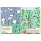 My Nature Sticker Activity Book: Streams and Ponds by Olivia Cosneau