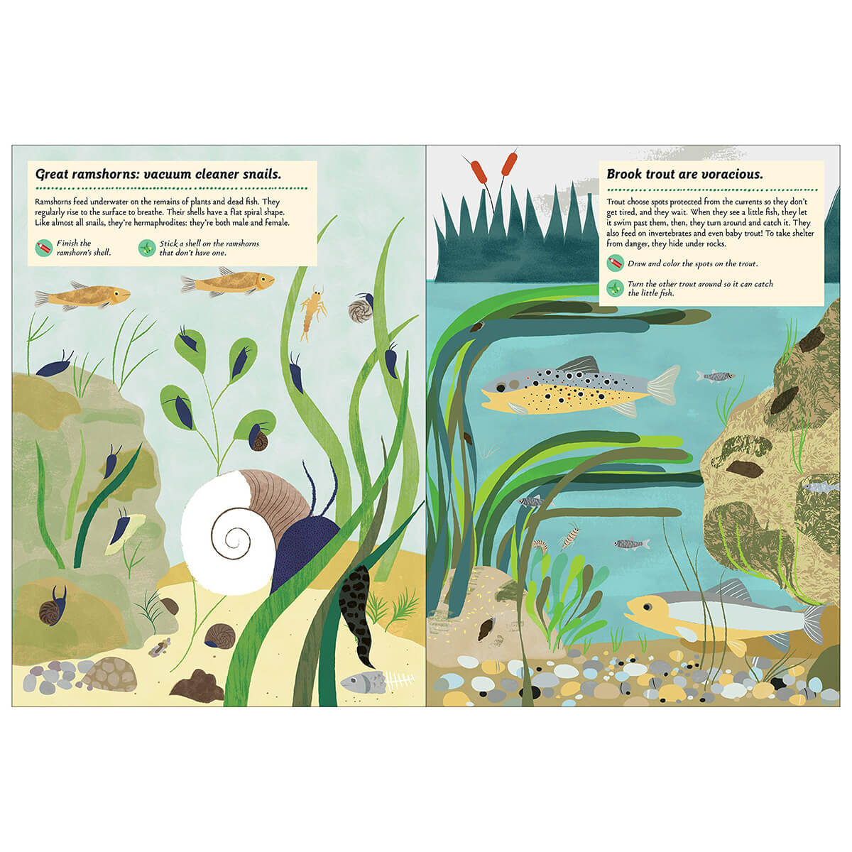 My Nature Sticker Activity Book: Streams and Ponds by Olivia Cosneau