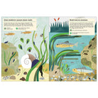 My Nature Sticker Activity Book: Streams and Ponds by Olivia Cosneau