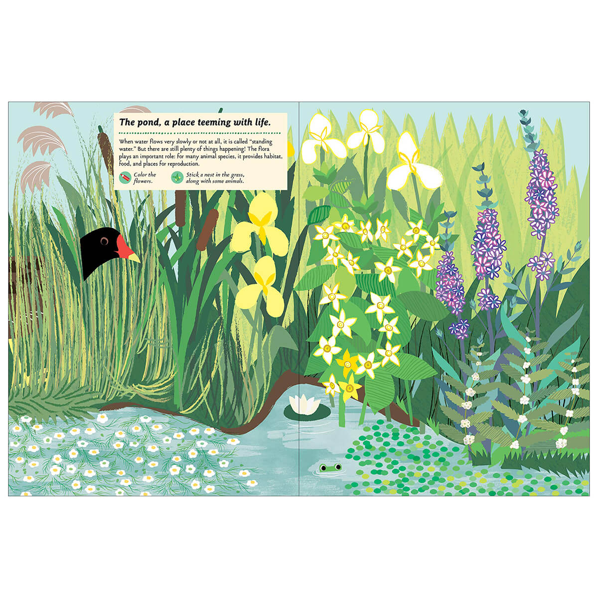 My Nature Sticker Activity Book: Streams and Ponds by Olivia Cosneau