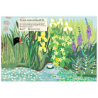 My Nature Sticker Activity Book: Streams and Ponds by Olivia Cosneau