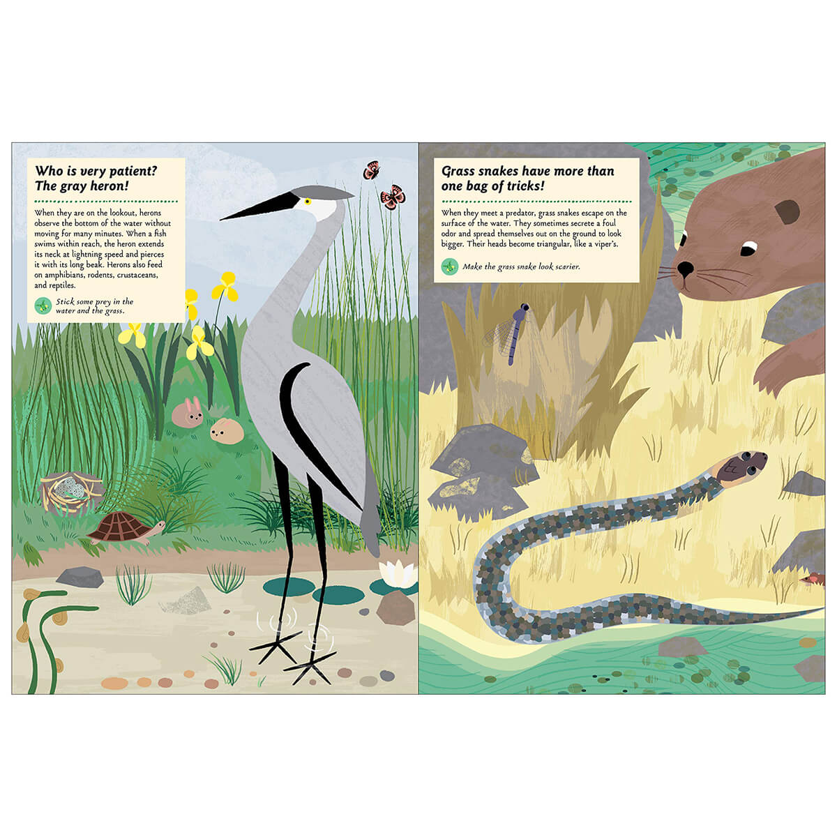 My Nature Sticker Activity Book: Streams and Ponds by Olivia Cosneau