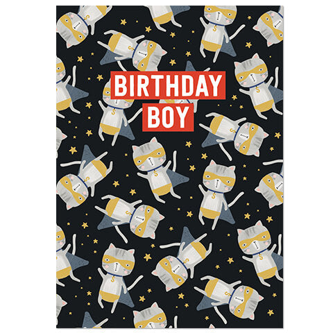 Birthday Boy Greetings Card by Natalie Alex