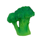 Brucy The Broccoli by Oli & Carol