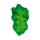 Kendall The Kale Teether by Oli & Carol