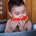 Wally The Watermelon by Oli & Carol