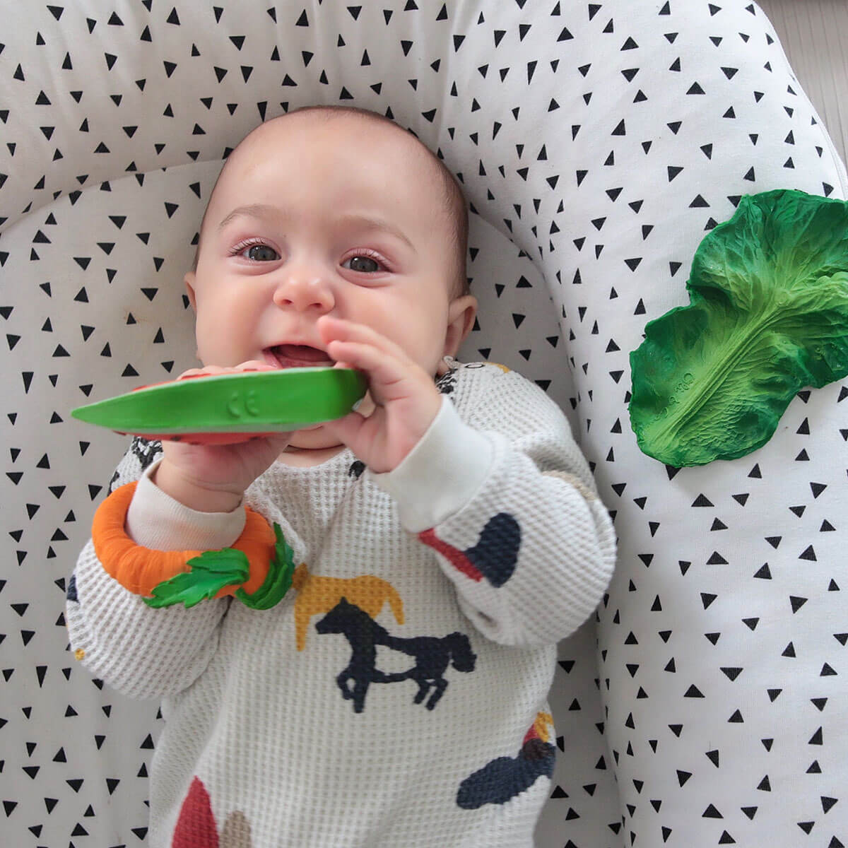 Wally The Watermelon by Oli & Carol