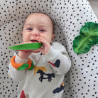 Wally The Watermelon by Oli & Carol